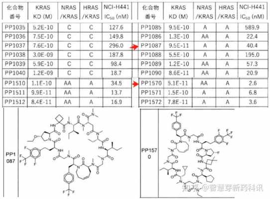 关于分子大小KD是什么的信息