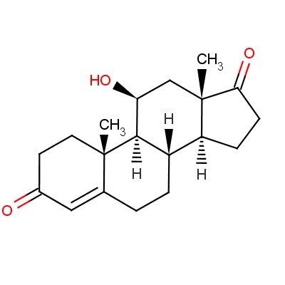 雄二醇是什么意思（雄二醇是什么意思12769）