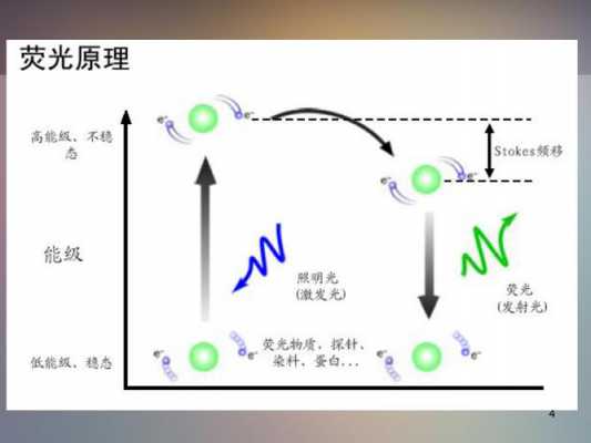 荧光法测定vc为什么加入硫酸（荧光法测定维生素c的原理）