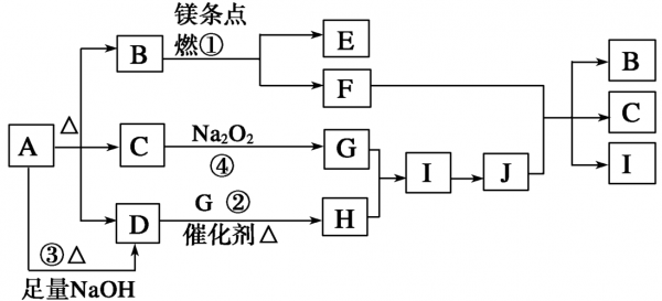 什么样的碱能和铵盐反应（铵盐能与碱反应放出氨气吗）