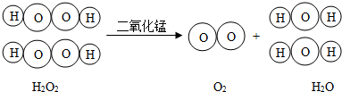 双氧水遇到什么会分解（双氧水碰到什么东西会氧化）