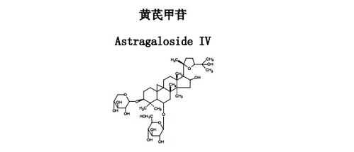 甲苷什么（甲苷怎么读）