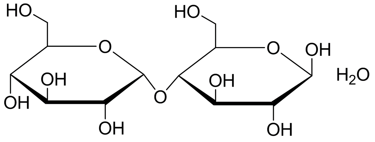 麦芽糖化学式是什么（麦芽糖的化学方程式）