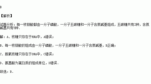 包含二氧核糖是什么梗的词条