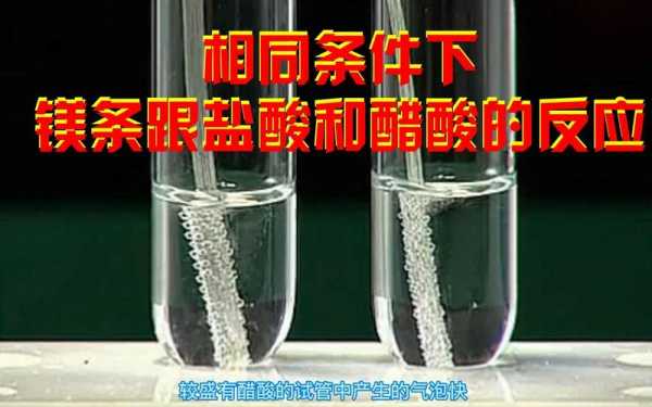 醋酸是什么反应（醋酸反应是什么意思）