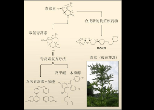 青蒿素的物理性质是什么（青蒿素的基本原理）