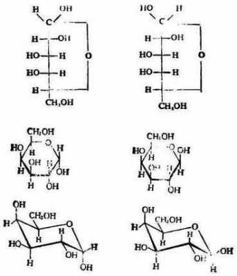 什么是d-吡喃葡萄糖（βd吡喃半乳糖优势构象）