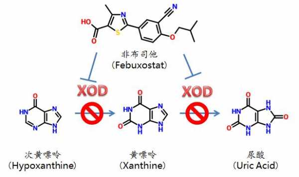 黄嘌呤有什么危害（黄嘌呤高会怎么样）