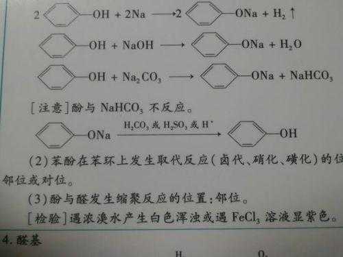 酚羟基可与什么反应钠盐（酚羟基与钠反应吗）