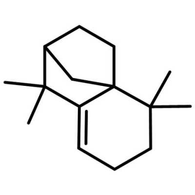 长叶烯是什么（长叶是什么意思）