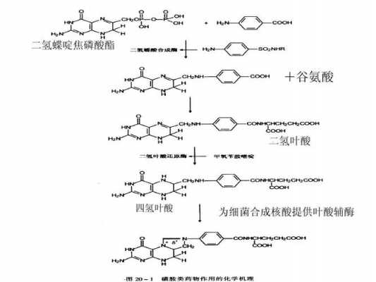 谷氨酸甲酯是什么（谷氨酸甲酯的合成）