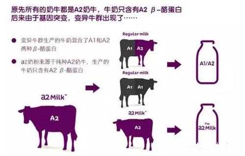 酪蛋白为什么不溶解（酪蛋白为什么不溶于水）