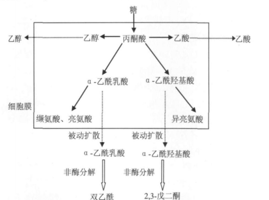 双乙酰又名什么（双乙酰是如何形成的?怎样控制?）