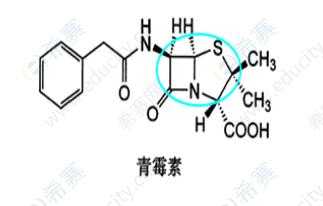 卞青霉素分子有什么（青霉素含有哪种结构）