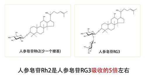 人生皂苷rg3是什么（人生皂苷rh3有用吗）