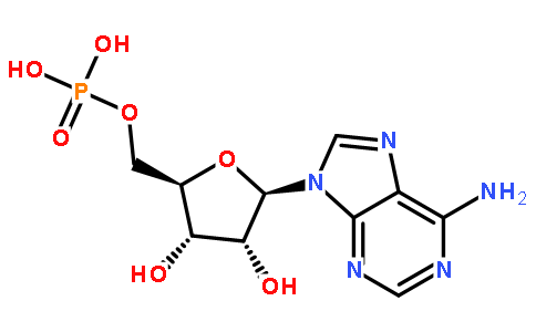 一磷酸腺苷是什么物质（一磷酸腺苷有什么作用）