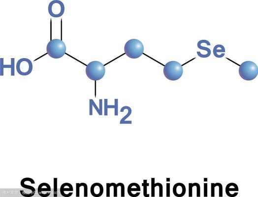 硒代蛋氨酸是什么意思（硒代蛋氨酸和硒代半胱氨酸的区别）