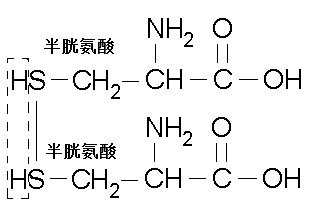 半胱氨酸碱是什么（半胱氨酸简介）