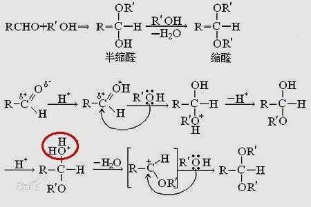 缩醛分子中含有什么结构（缩醛分解）