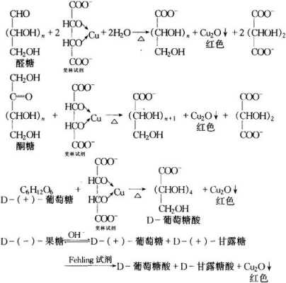 斐林试剂不能与什么醛反应（斐林试剂和甲醛反应吗）