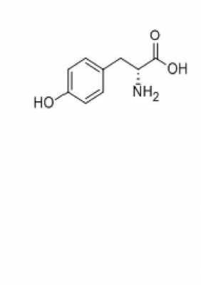 l酪氨酸是什么（酪氨酸对人体有什么作用）
