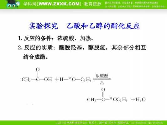 乙酸与丙醇酯的什么（乙酸与丙醇的酯化反应）