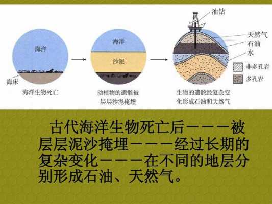 生物基原油是什么（生物基和石油基）