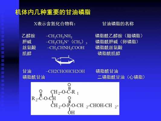 磷脂和羟基为什么能结合（磷脂与脂肪的不同之处在于甘油的一个羟基与什么结合）