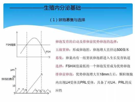 lhv是什么意思（lh1是什么意思）