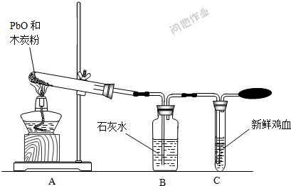 什么物质能溶解氧化铅（什么物质能溶解氧化铅溶液）