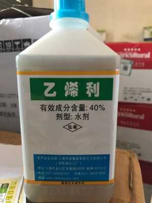 乙烯利是什么化学品（乙烯利的用途是什么）