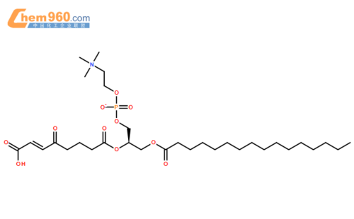 pc分子式是什么（pc的化学结构式）