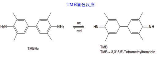 显色物质TMB是什么（tmb显色反应原理）