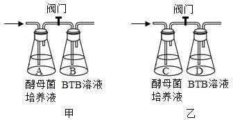 二氧化碳为什么用溴麝香（二氧化碳与溴麝香反应）