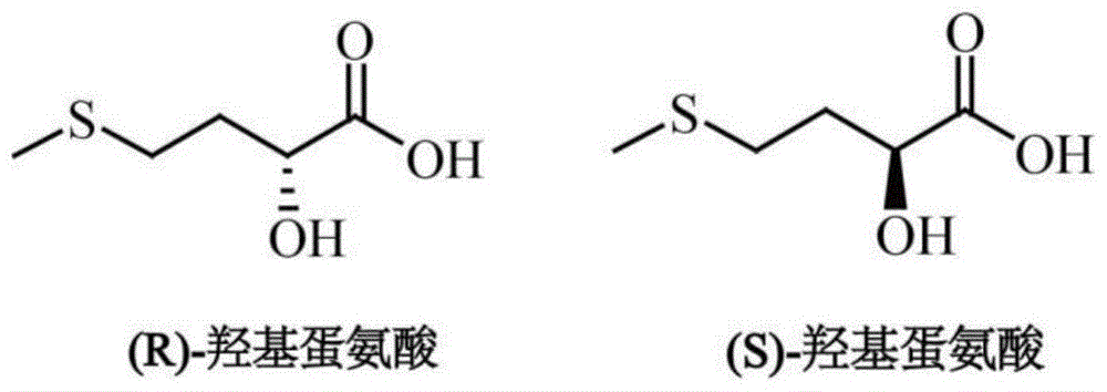 酸脱羟基醇脱氢为什么有名（羟基酸脱水产物）