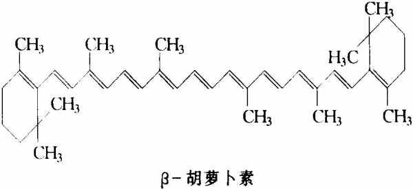 胡萝卜素由什么组成分子（胡萝卜素的组成成分）