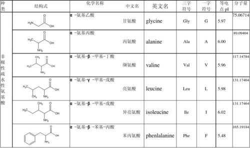 化学phe什么意思（化学中phen是什么意思）