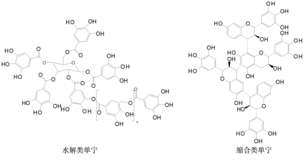 什么叫单宁酸（单宁酸的别名）