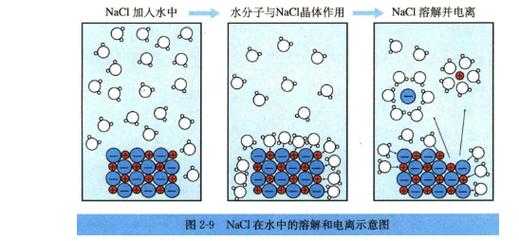 为什么水跟着钠离子（水和钠离子是什么意思）