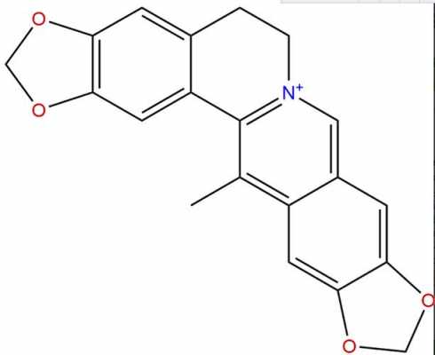 甲基黄连碱什么作用（甲基黄连碱理化性质）