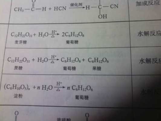 二糖的水解产物都有什么（二糖的水解反应类型）