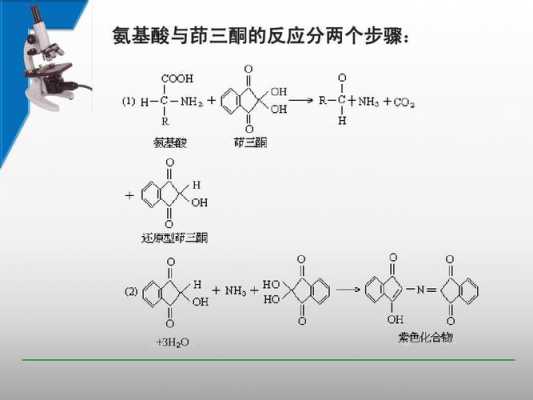 为什么茚三酮和水反应（还原茚三酮和水合茚三酮反应）