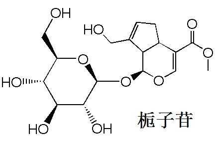 栀子的化学式是什么（中药栀子属于哪类化学结构类型）