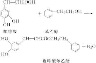 咖啡酸苯乙酯溶于什么（合成咖啡酸苯乙酯的路线设计）