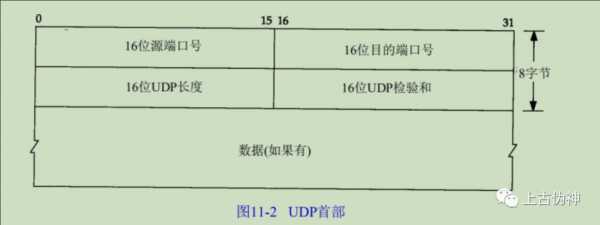 udp是什么化学（化学udp是什么意思）