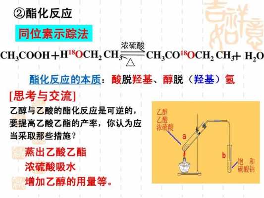 酯化反应为什么酸催化（发生酯化反应的酸一定是羧酸吗）