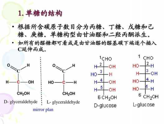 糖分子中的D是什么意思（糖类的d型和l型）