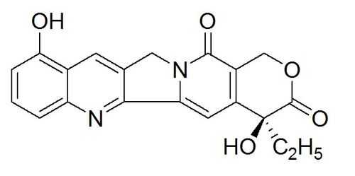 羟基喜树碱带什么电（羟基喜树碱hydroxycampothecin）