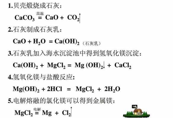 氯化镁的化学用语是什么（氯化镁表示的化学意义）