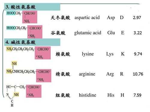 赖氨酸水溶液是什么颜色（赖氨酸水溶液是碱性吗）